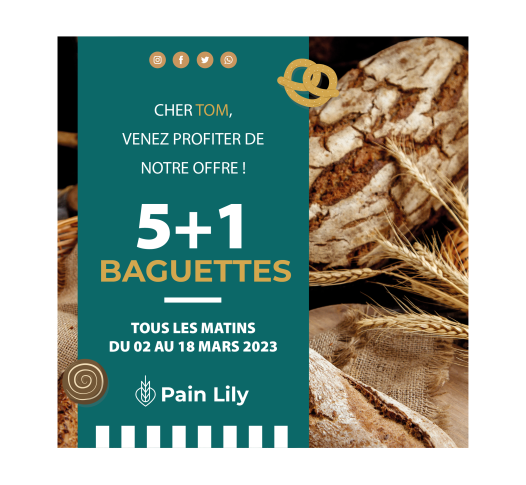 Exemple d'un emailing.